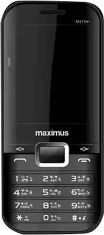 Maximus M310M photo