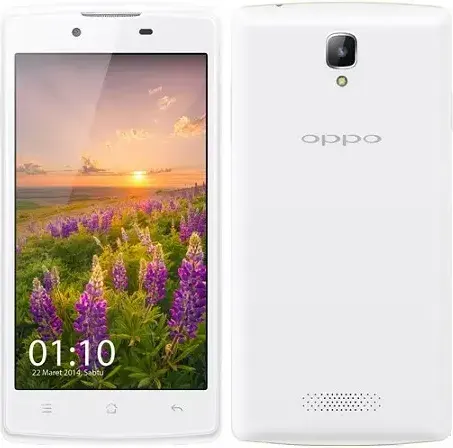 Oppo Neo 3 photo