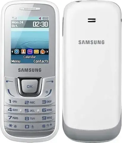 Samsung Guru Music E1282 photo