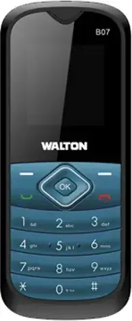 Walton B07 photo