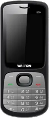 Walton B09 photo