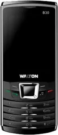 Walton B30 photo