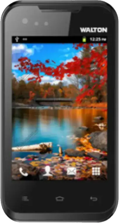 Walton Primo D1 photo